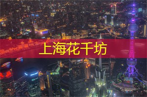 上海龙凤419：上海的国际美食节活动